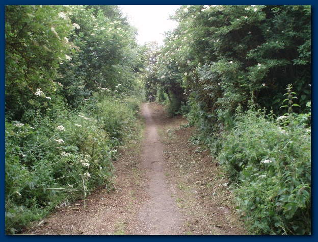 600x449 pixels (195K)